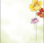 SIGEL Spring Flowers Motivpapier DIN A4 90 g/m²