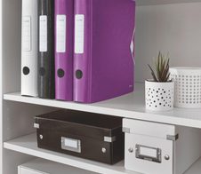 LEITZ Ordner Rückenbreite 6.5 cm DIN A4 Kunststoff violett