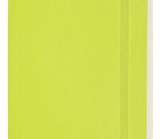 MOLESKINE Classic Collection flexibler Einband Notizbuch ca. DIN A5 blanko hellgrün