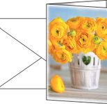 SIGEL Grußkarten Ranunculus DIN A6