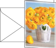 SIGEL Grußkarten Ranunculus DIN A6