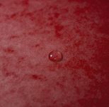 Exacompta Eckspanner DIN A4 rot