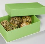 BUNTBOX Geschenkboxen M 1,1 l - 17,0 x 11,0 x 6,0 cm grün