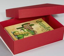 BUNTBOX Geschenkboxen L 3,6 l - 26,6 x 17,2 x 7,8 cm rot