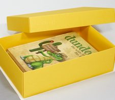 BUNTBOX Geschenkboxen L 3,6 l - 26,6 x 17,2 x 7,8 cm gelb