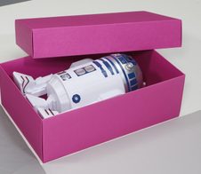 BUNTBOX Geschenkboxen XL 8,6 l - 34,0 x 22,0 x 11,5 cm pink