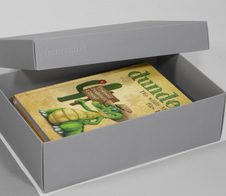 BUNTBOX Geschenkboxen L 3,6 l - 26,6 x 17,2 x 7,8 cm grau