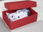 BUNTBOX Geschenkboxen XL 8,6 l - 34,0 x 22,0 x 11,5 cm rot
