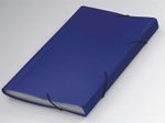 FolderSys Fächermappe DIN A4 12-Fach  blau