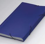 FolderSys Fächermappe DIN A4 12-Fach  blau