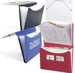 FolderSys Fächermappe DIN A4 12-Fach  schwarz