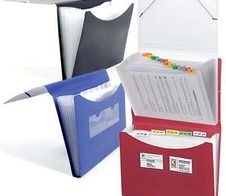 FolderSys Fächermappe DIN A4 12-Fach  schwarz