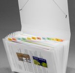 FolderSys Fächermappe DIN A4 12-Fach  transparent