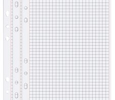 bind Ringbuch-Ergänzungsblätter DIN A5, 50 Blatt