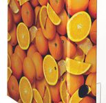 herlitz Motivordner Rückenbreite 8 cm DIN A4 Karton Motiv