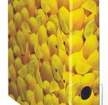 herlitz Motivordner Rückenbreite 8 cm DIN A4 Karton Motiv