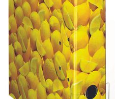 herlitz Motivordner Rückenbreite 8 cm DIN A4 Karton Motiv