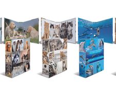 HERMA Motivordner Rückenbreite 7 cm DIN A4 Karton Motiv