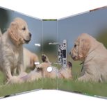 HERMA Motivordner Rückenbreite 7 cm DIN A4 Karton Motiv