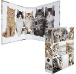 HERMA Motivordner Rückenbreite 7 cm DIN A4 Karton Motiv