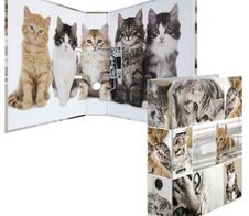 HERMA Motivordner Rückenbreite 7 cm DIN A4 Karton Motiv