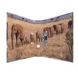 HERMA Motivordner Rückenbreite 7 cm DIN A4 Karton Motiv