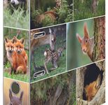 HERMA Motivordner Rückenbreite 7 cm DIN A4 Karton Motiv