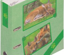 PAGNA Motivordner Rückenbreite 7.5 cm DIN A4 Karton Motiv