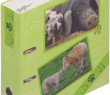 PAGNA Motivordner Rückenbreite 7.5 cm DIN A4 Karton Motiv