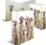 HERMA Motivordner Rückenbreite 7 cm DIN A4 Karton Motiv