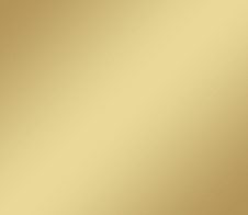 plottiX Aufbügelfolie 32 cm x 50 cm champagner