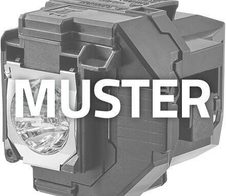 Beamerlampe (nur Leuchtmittel) für OSRAM, Sanyo, BoxLight, Christie, Eiki (ersetzt: 610-305-1130/POA-LMP72/03-000761-01P/LMP73/610-309-3802/POA-LMP73/03-000712-01P/LMP59/POA-LMP59/610-305-5602/MP56T-930/5/LMP72/P-VIP250/1.3P22)
