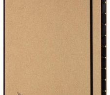 PAGNA Pultordner DIN A4 12 Taben hellbraun