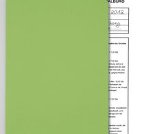 ELCO Sichthüllen DIN A4 intensivgrün