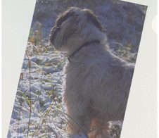 herlitz Sichthüllen DIN A4 glasklar