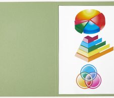 ELBA Aktendeckel DIN A4 grün