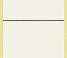 bene Ordneretiketten für 4.5 cm Rückenbreite 34,0 x 160,0 mm