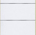 LEITZ Ordneretiketten für 8 cm Rückenbreite 61,0 x 192,0 mm