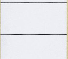 LEITZ Ordneretiketten für 8 cm Rückenbreite 61,0 x 192,0 mm