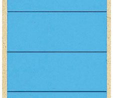 LEITZ Ordneretiketten für 8 cm Rückenbreite 61,5 x 285,0 mm