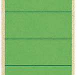 LEITZ Ordneretiketten für 8 cm Rückenbreite 61,5 x 285,0 mm