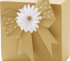 folia Tonpapier DIN A4 230 g/m²