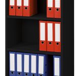 PAPERFLOW Bürowagen 65,1 x 33,0 x 124,6 cm anthrazit
