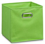 Zeller Aufbewahrungsbox 30,0 l - 32,0 x 32,0 x 32,0 cm grün