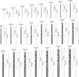 BOSCH Metallbohrer-Set ProBox HSS-G 25-teilig