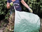 TerCasa Gartenabfallsäcke 272,0 l grün