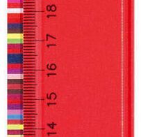 herlitz Lineal 30 cm