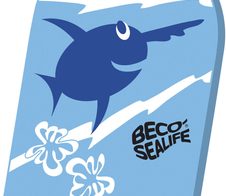 BECO Schwimmbrett blau