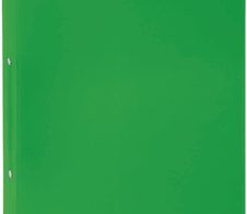 PAGNA Ringbuch 2-Ringe DIN A4 3.3 cm grün