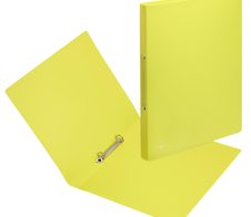 PAGNA Ringbuch 2-Ringe DIN A4 3.3 cm lindgrün